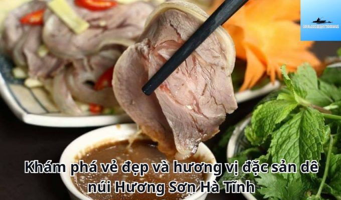 Khám phá vẻ đẹp và hương vị đặc sản dê núi Hương Sơn Hà Tĩnh